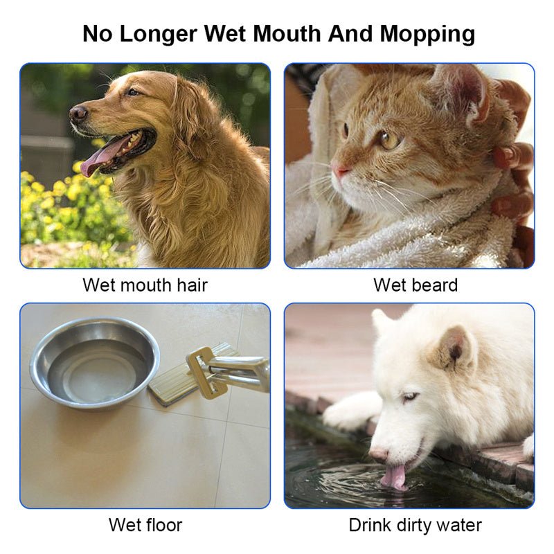 Pet Supplies