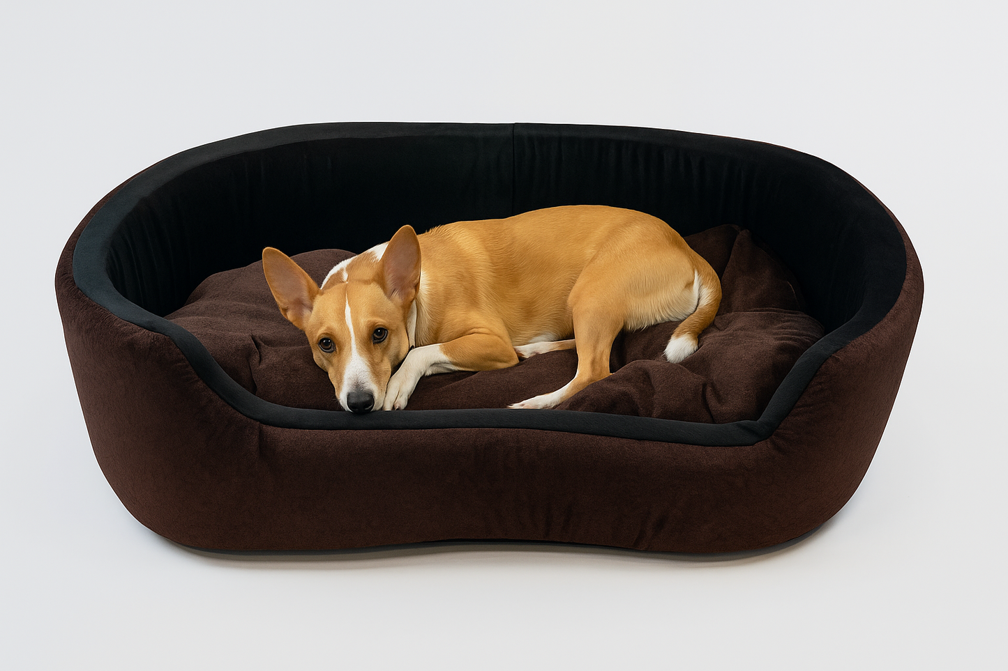 Havens dream Dog Bed, Sofas Bed & Chairs Bed For Dog Brown Black