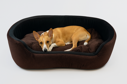 Havens dream Dog Bed, Sofas Bed & Chairs Bed For Dog Brown Black