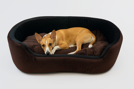 Havens dream Dog Bed, Sofas Bed & Chairs Bed For Dog Brown Black